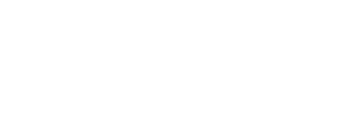 Basis