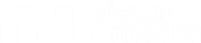 Vistar Media